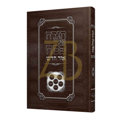 הגדה של פסח - אור חדש - חום PU