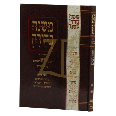משנה בהירה טהרות ט' זבים
