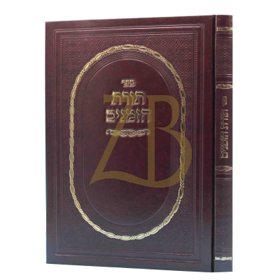 תורת הזמנים החדש
