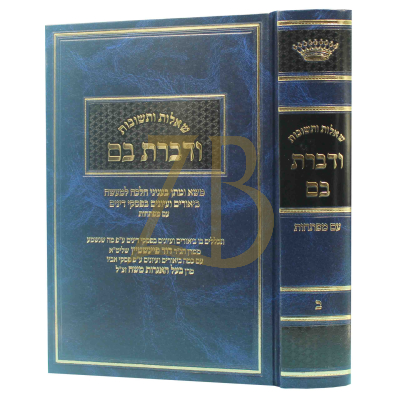 שו"ת ודברת בם ח"ב