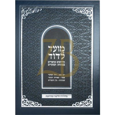 מועד לדוד - דוד הופשטטר
