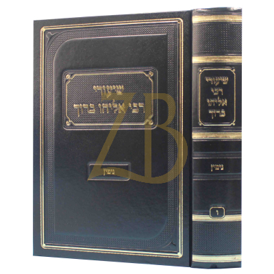 שיעורי רבי אליהו ברוך - גיטין