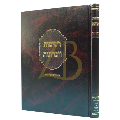 רשימות וזכרונות - מהנהגות רבוה"ק מאלכסנדר