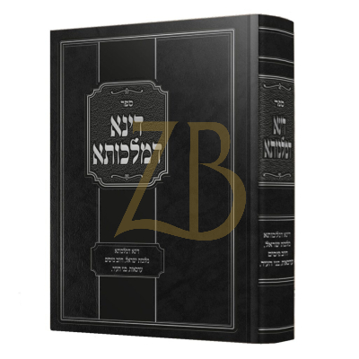דינא דמלכותא - דוד שלמה שור