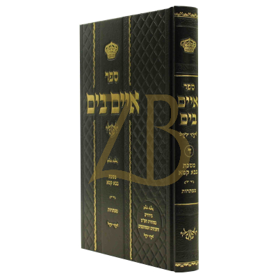 איים בים - בבא קמא