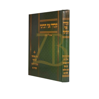 עבדך אני הבינני - קושיות והערות על כמה ספרים
