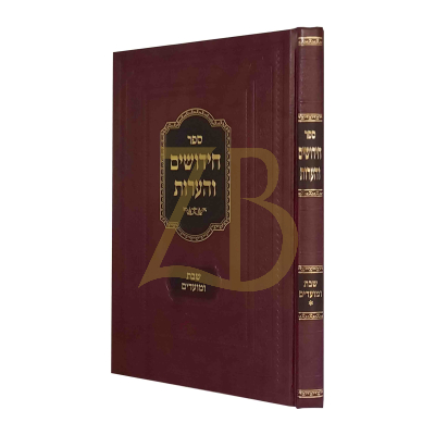 חידושים והערות - שבת ומועדים - ר' רפאל רייכמן