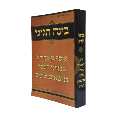 בינה הגיגי - אוסף מאמרים בענייני הלכה בנושאים שוני