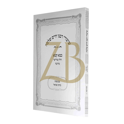 שיעורי רבנו חיים שלמה - בבא קמא חלק ג מרובה - כ"ר
