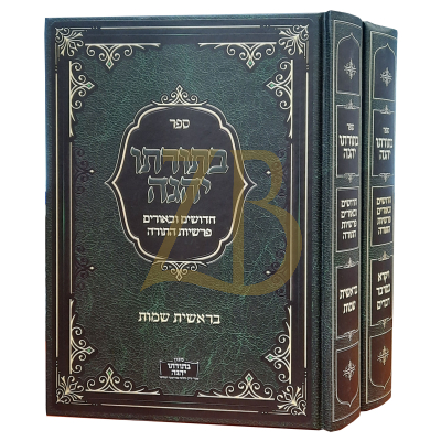 בתורתו יהגה - עה"ת - ר' דוד פלק - ב"כ