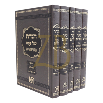 באר החיים - מהר"א בידרמאן - מועדים - ה"כ