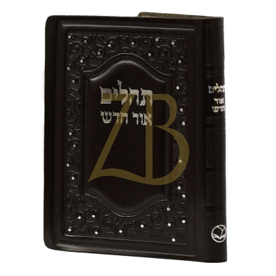 תהלים אור חדש - בינוני משוחזר - כ"ר