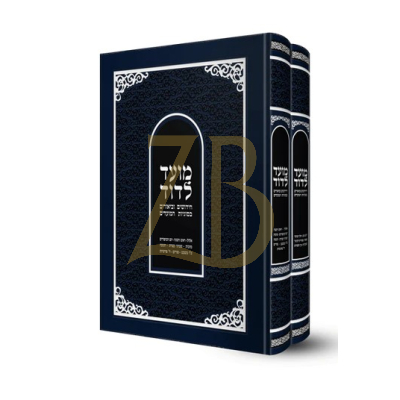 מועד לדוד - ב"כ - דוד הופשטטר