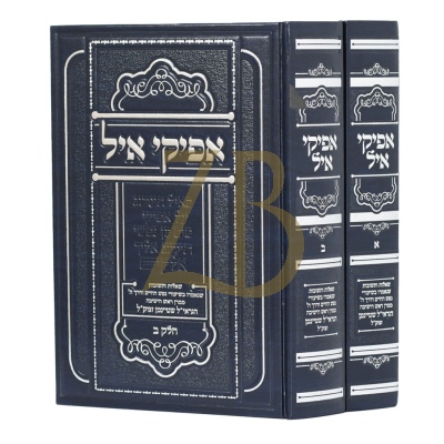 אפיקי איל - שו"ת שנאמרו בשיעורי הגראי"ל שטיינמן - ב"כ