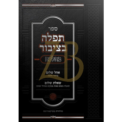 תפלה בציבור בהלכה - ר' שלום צבי גרינפעלד IBS