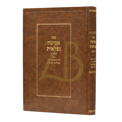 אביטה נפלאות - חלק ג - הגרי"מ ארלנגר