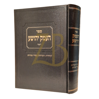 העמק יהושע - קושיות ותמיהות בסדר טהרות