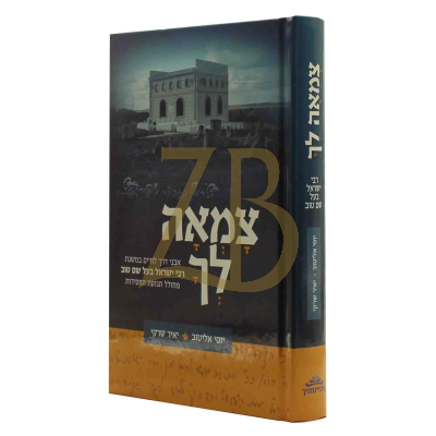 צמאה לך - אבני דרך במשנת הבעש"ט