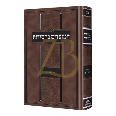 המועדים בחסידות - ר' יואל כהן