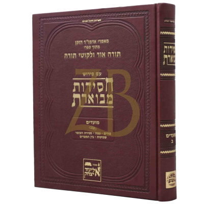 חסידות מבוארת - מועדים ח"ב