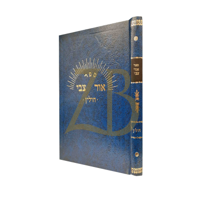 אור צבי - חולין