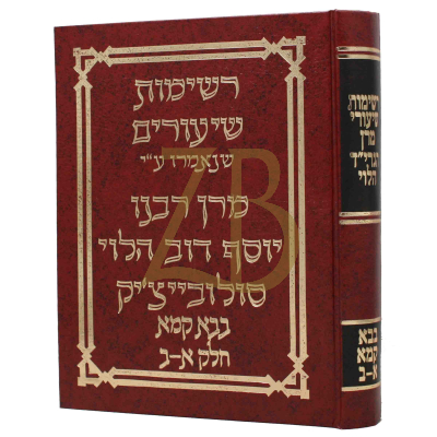 רשימות שיעורי מרן הגרי"ד הלוי - בבא קמא א-ב