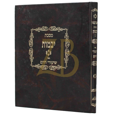 שיעורי היום - יבמות ח"ד