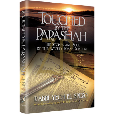 Touched By The Parashah - Vayikra/Bamid/Devar