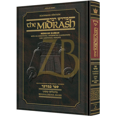 Midrash Rabbah: Bamidbar 3