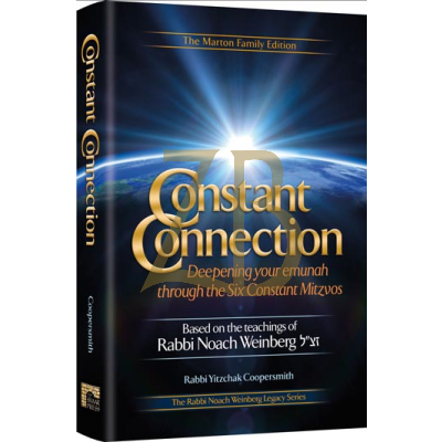 Constant Connection - Rabbi Noach Weinberg