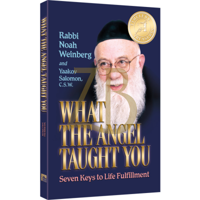 What The Angel Taught You - Noach Weinberg S/C