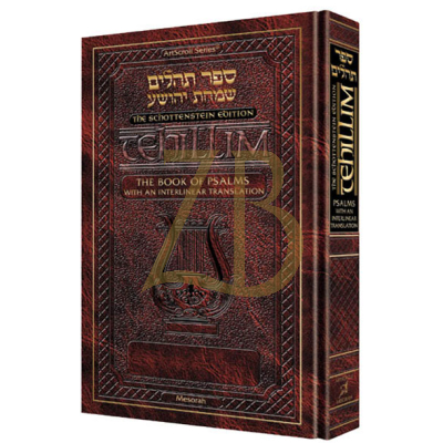 תהלים Tehilim Interlinear Enlarged H/C