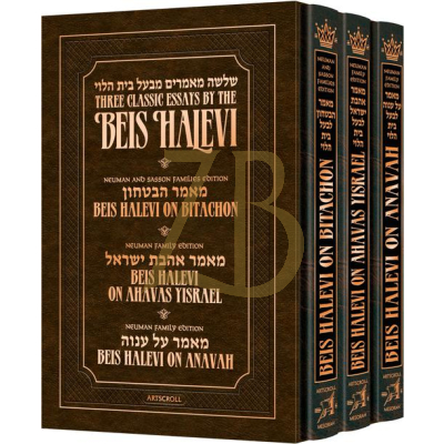 Beis Halevi Set - 3 Vol. - Rabbi David Sutton