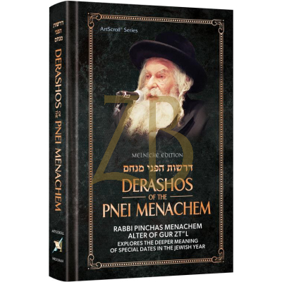 Derashos Of The Pnei Menachem