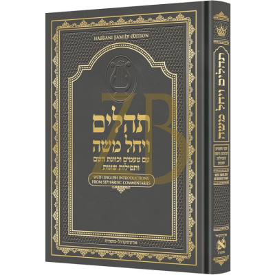 תהלים ויחל משה עם טעמים וכוונת השם - Gray