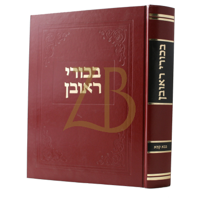 בכורי ראובן - בבא קמא