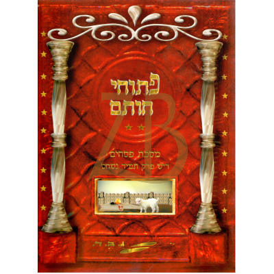 פתוחי חותם - פסחים ריש פרק תמיד נשחט - כ"ר
