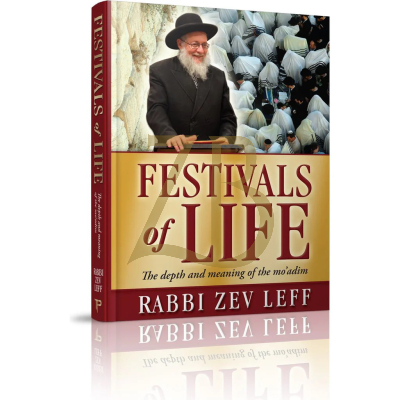 Festivals Of Life