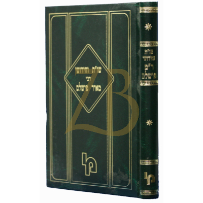 שו"ת וחידושי רבי מאיר פישלס