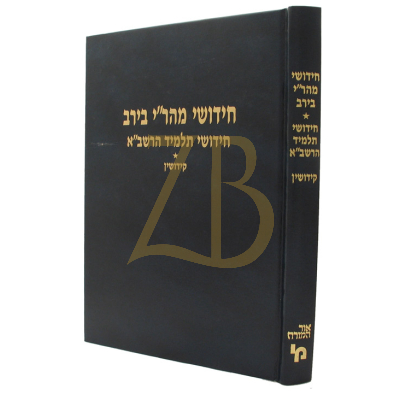 חידושי מהר"י בירב - קידושין