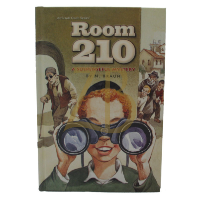Room 210 - A Mystery - N. Braun