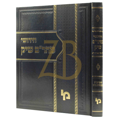 חידושי מהר"ם שיק - שבועות - עבודה זרה