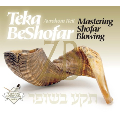 Teka Beshofar
