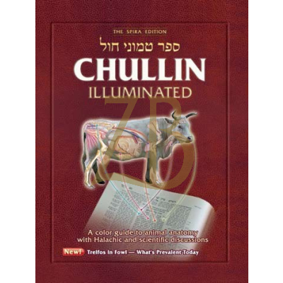 Chullin Illuminated (טמוני חול eng) Revised Ed.