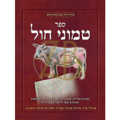 טמוני חול