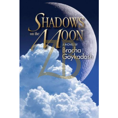 Shadows on the Moon