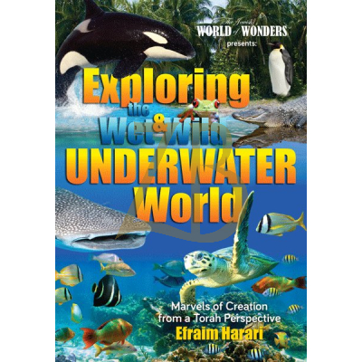 Exploring the Wet & Wild Underwater World