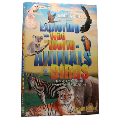 Exploring the Wild World of Animals & Birds