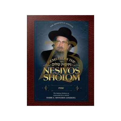 Gems From The Nesivos Sholom - Shemos