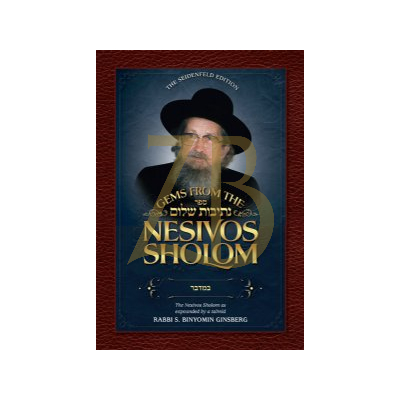Gems From The Nesivos Sholom - Bamidbar
